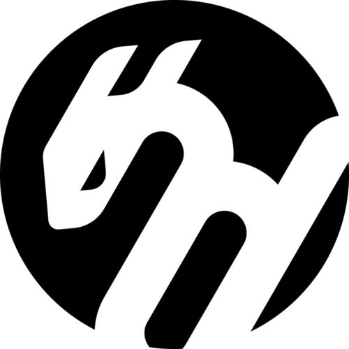 Black Dragons e-Sports