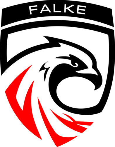FALKE ESPORTS