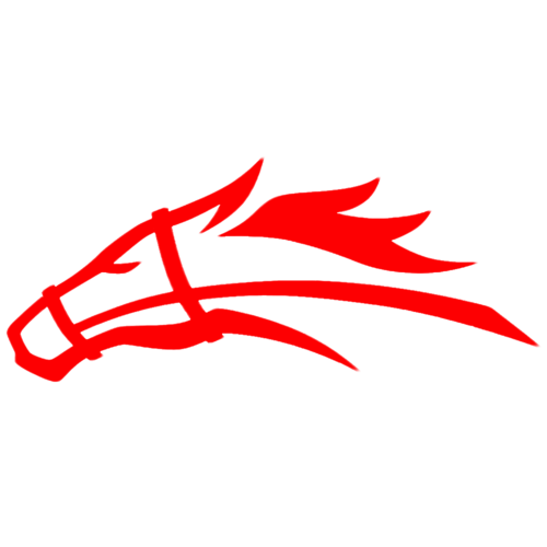 Stallions