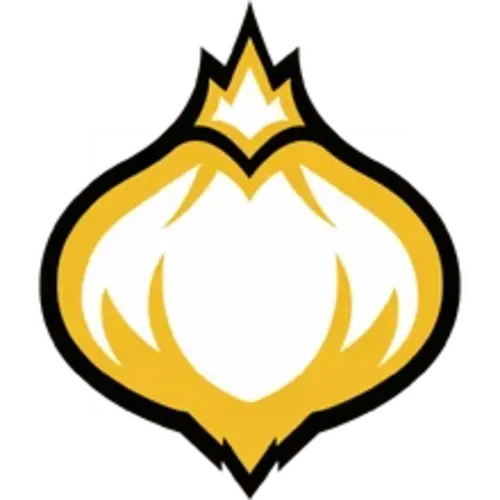 Onion Team