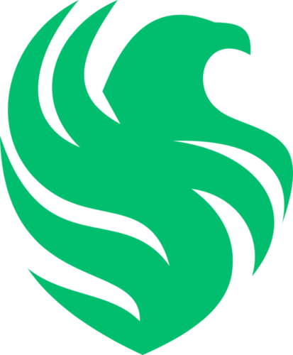 Falcons Academy Green